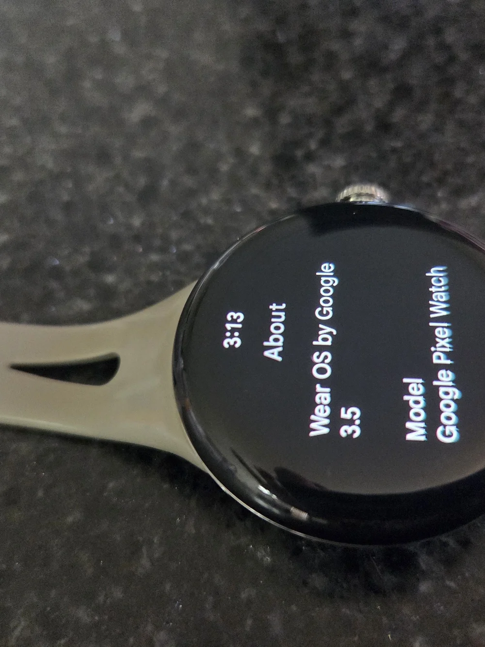 Google Pixel Watch with Magnetic Charger